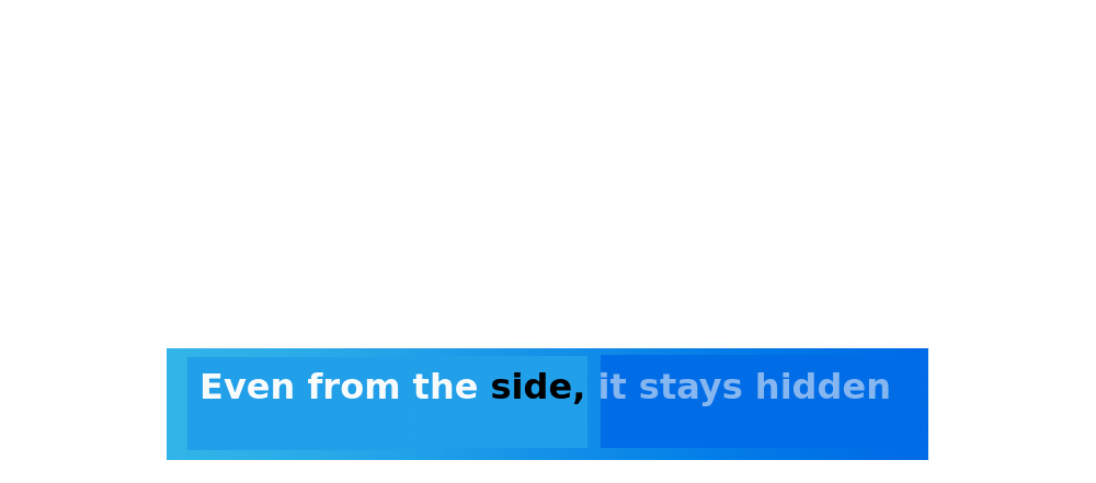 39.jpeg