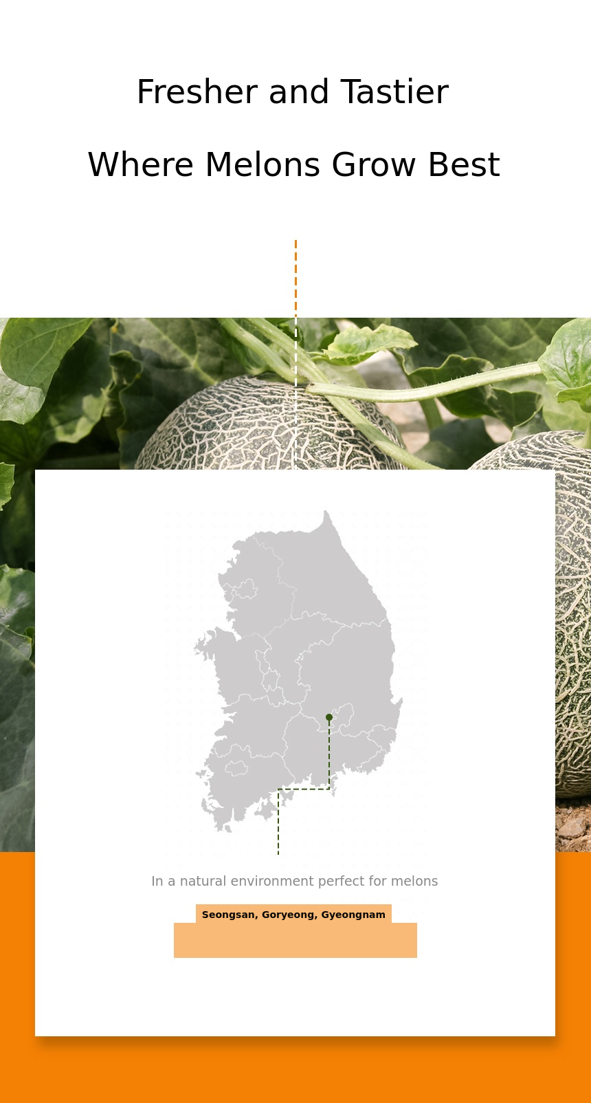 농장.jpg