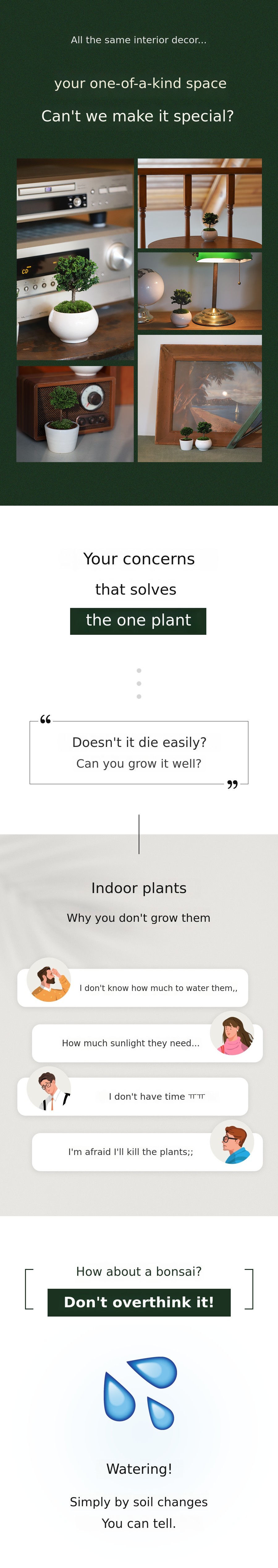 Puruda Timeless Beauty Returns: Mini Hinoki Cypress 3rd Edition—Bigger and ...